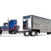 Kenworth W900A Sleeper and Wilson Silverstar Livestock Spread-Axle Trailer Black and Blue with Red Stripes "John Wayne Cattle Co." 1/64 Diecast Model by DCP/First Gear - Image 2