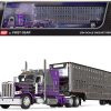 Peterbilt 389 with 63